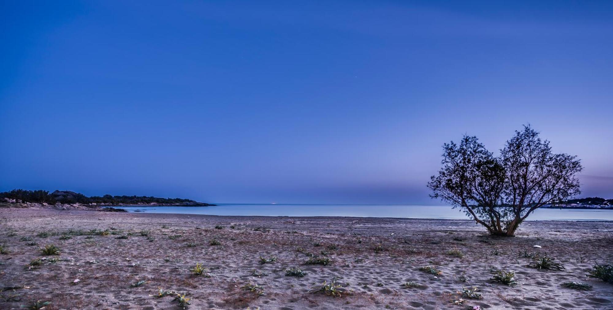 Cedar Bay Beachside Villas Paleokhóra Eksteriør bilde
